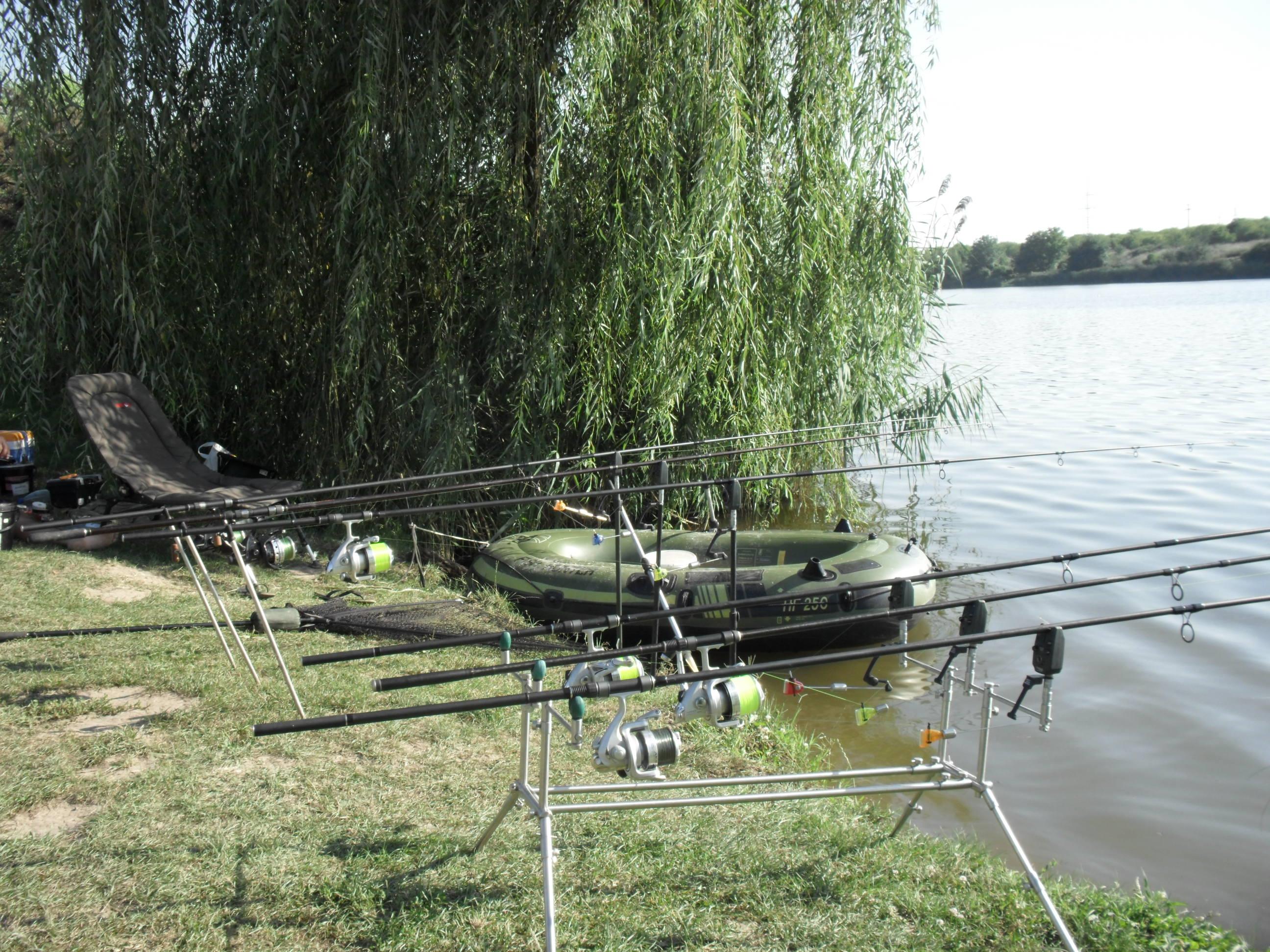 somn mania tancabesti - SAM_0860.JPG